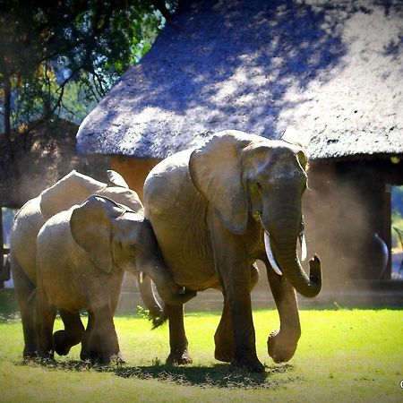 Croc Valley Camp Mfuwe Exteriér fotografie