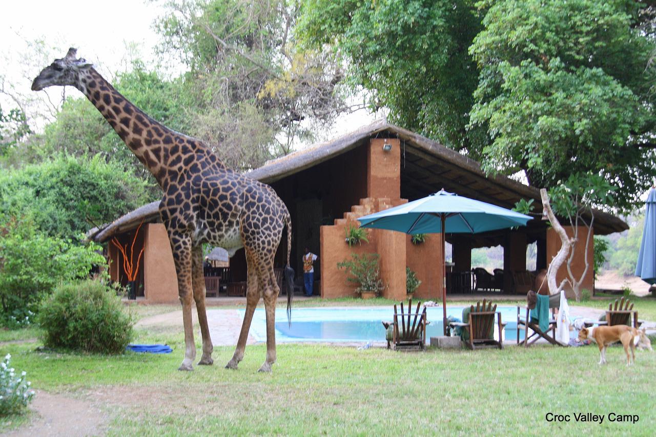 Croc Valley Camp Mfuwe Exteriér fotografie