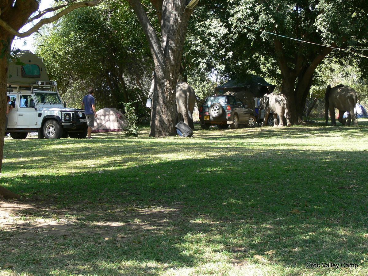 Croc Valley Camp Mfuwe Exteriér fotografie