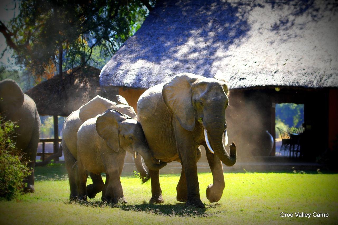 Croc Valley Camp Mfuwe Exteriér fotografie