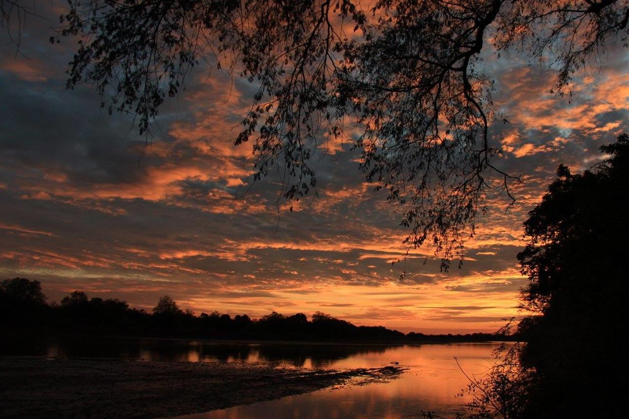 Croc Valley Camp Mfuwe Exteriér fotografie
