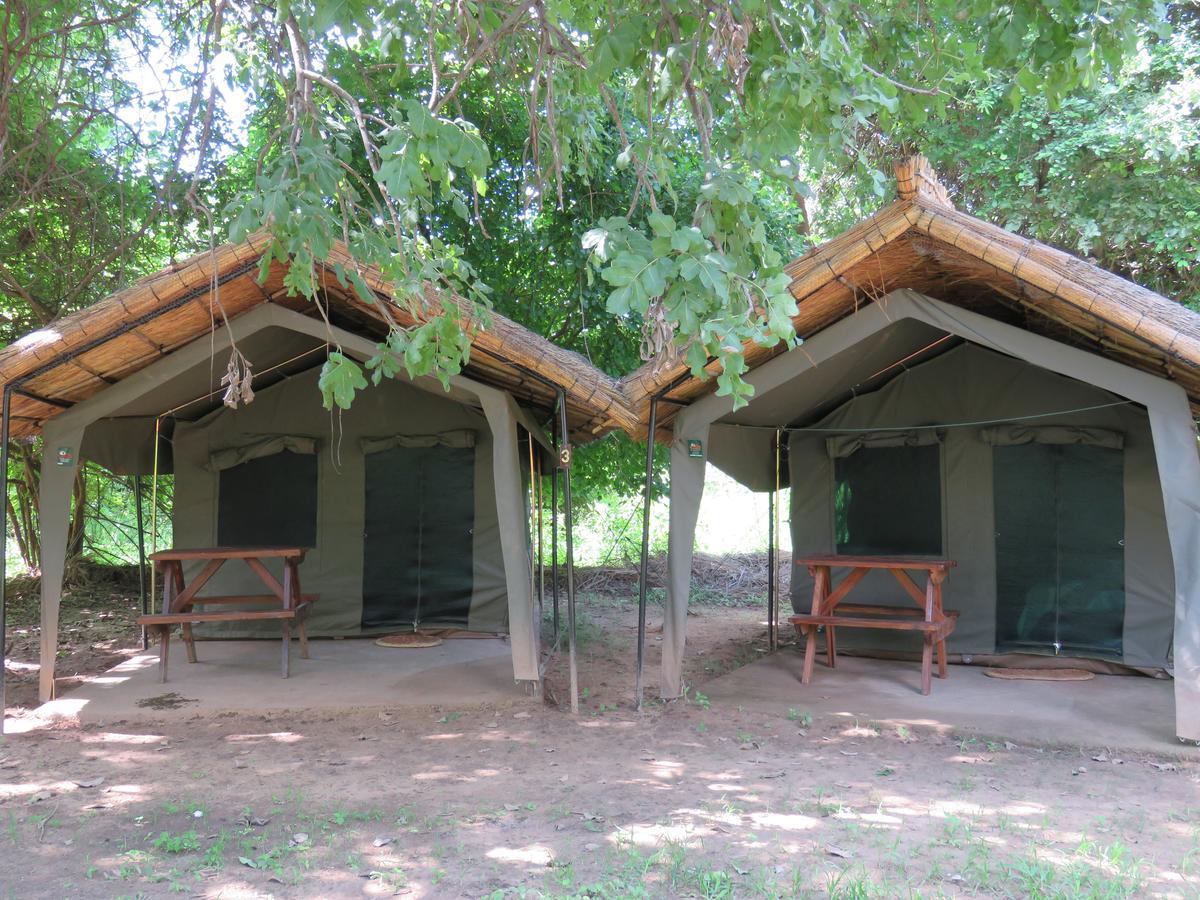 Croc Valley Camp Mfuwe Exteriér fotografie