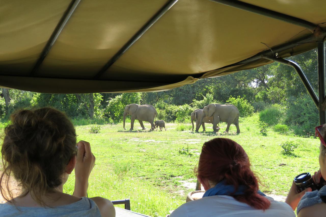 Croc Valley Camp Mfuwe Exteriér fotografie